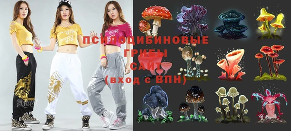 соль курить ск Заводоуковск