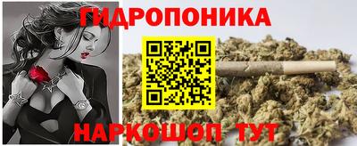 молекула духа Гагарин