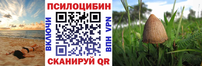 Псилоцибиновые грибы Cubensis hydra вход Новосибирск