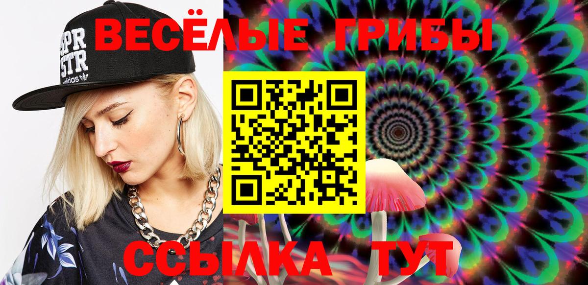Псилоцибиновые грибы Psilocybe Новосибирск