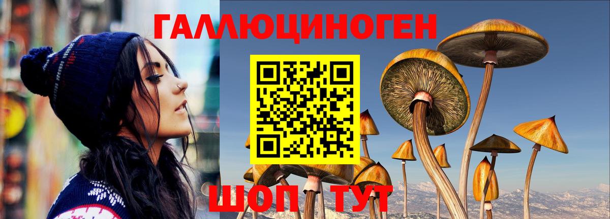 Новосибирск  Галлюциногенные грибы Psilocybine cubensis  Псилоцибиновые грибы Cubensis  Вход с VPN 